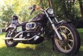 1982 Harley-Davidson FXB 1340 Sturgis photo
